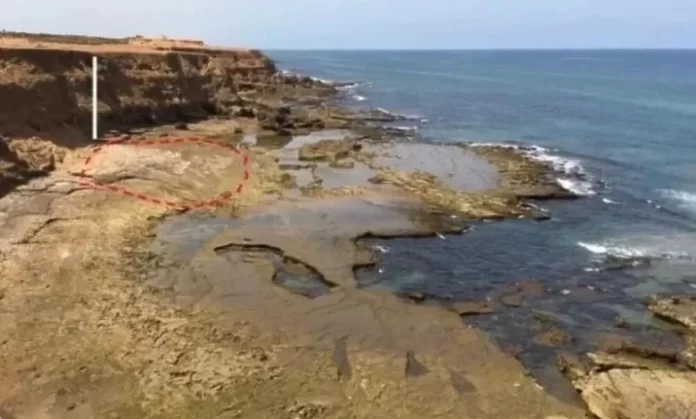 inbound5121139527614479187