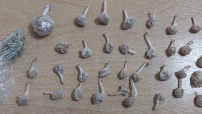 4077E9AC-C827-4248-A24F-A34BBF6BB793