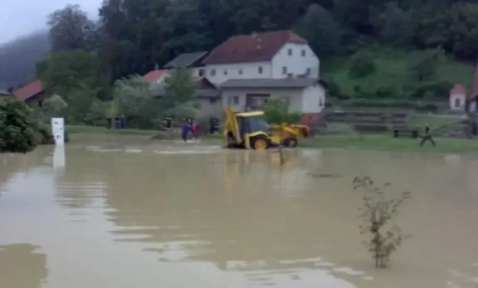 inbound7358239620459408539