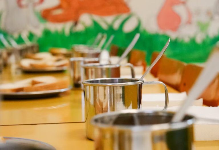 Sa i sigurt është ushqimi në shtëpitë e të moshuarve dhe në shkolla?