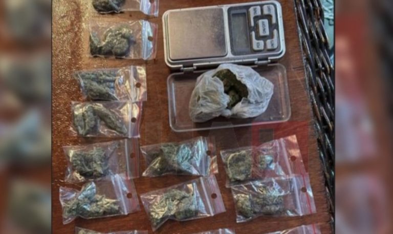 Bastisje në një shtëpi në Gazi Babë, arrestohet 19 vjeçari