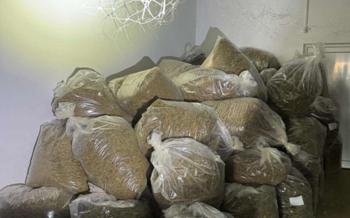 inbound3137351584911561675