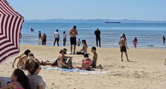 inbound6899361318591607921