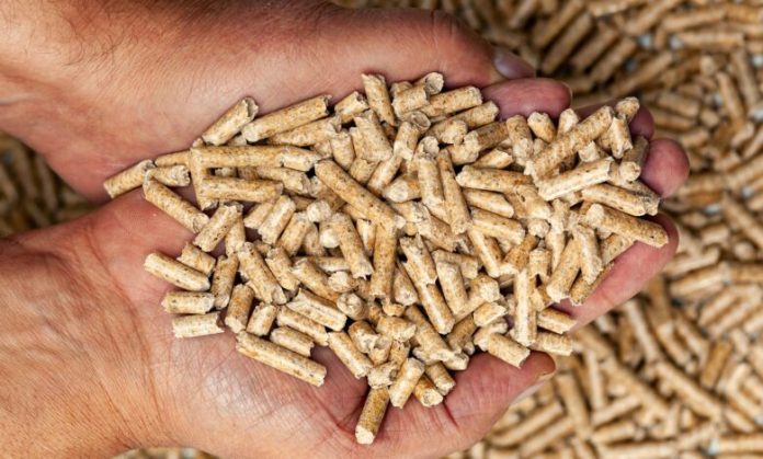 Wood pellets in hands.