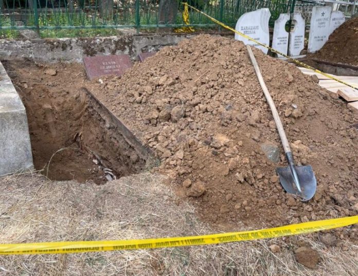 inbound8469282448491928883