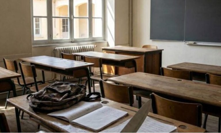 Francë, një 14-vjeçar godet me thikë mësuesen