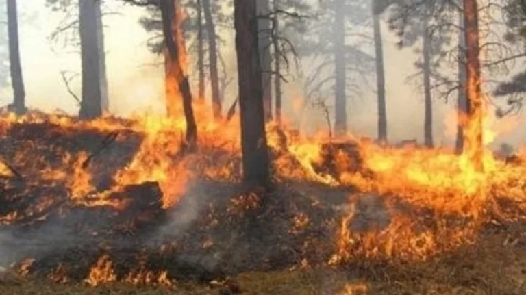 Shpërthen zjarr në kufirin në mes RMV-së dhe Greqisë në Dojran