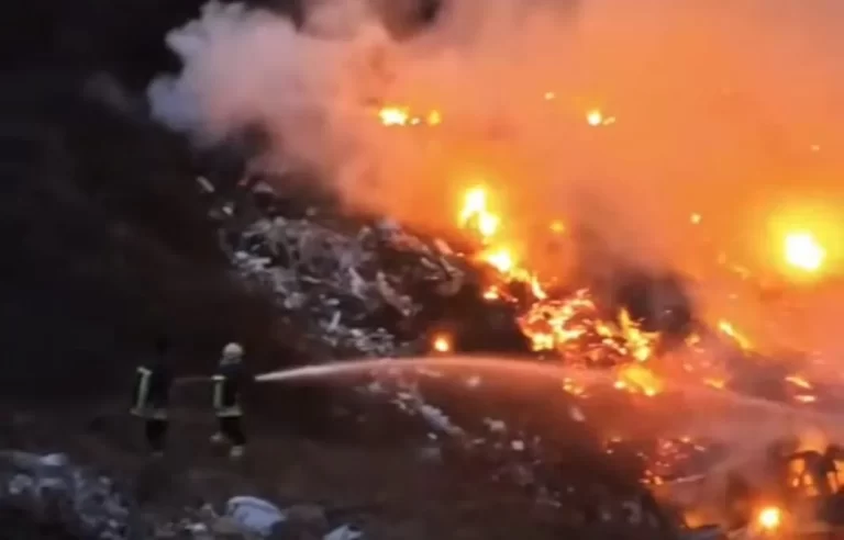 Zjarr në parkun pyjor “Gazi Babë”
