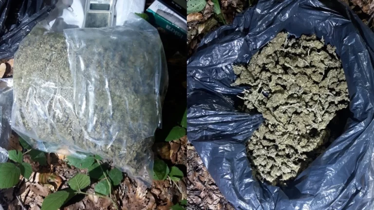 Arrestohet 27-vjeçari në Brezovicë, konfiskohen mbi 1 kilogram marihuanë