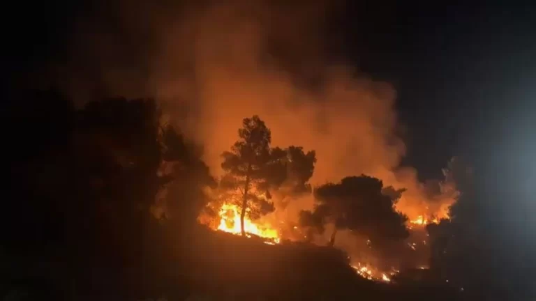 15 zjarre u shënuan deri në orën 18:00, gjashtë prej tyre vazhdojnë të jenë aktive