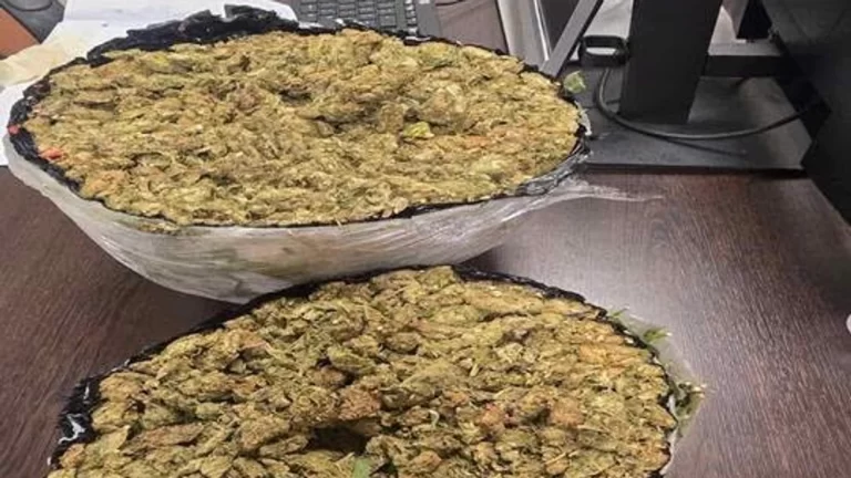 Arrestohet një shtetas i Shqipërisë në Vërmicë, dyshohet për posedim të mbi 2 kilogramëve marihuanë