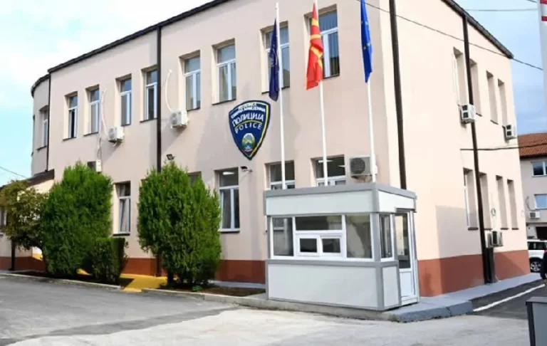 E rëndë në Kumanovë, 48-vjeçarja denoncon se u sulmua nga djali dhe nusja e tij