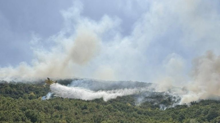 14 zjarre në hapësira të hapura në Maqedoninë e Veriut, njëri ende aktiv